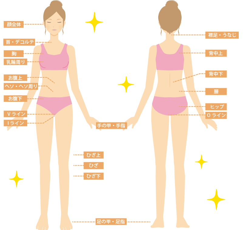 全身脱毛1回分